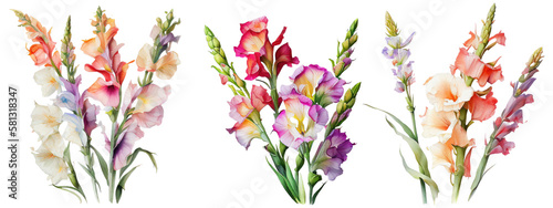 Leinwand Poster Watercolor Gladiolus Flowers. Generative AI
