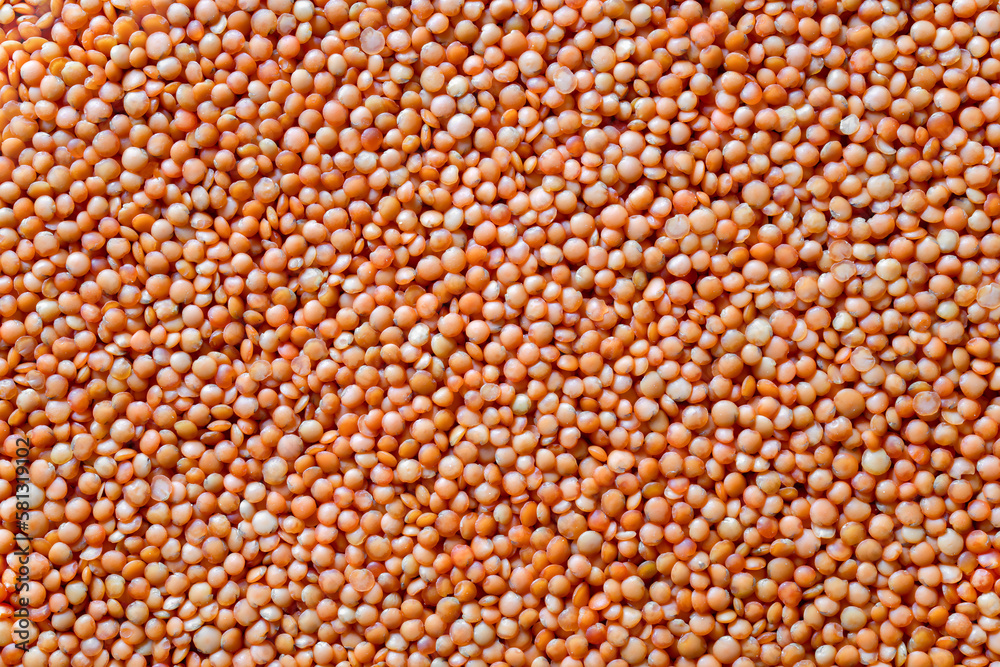 Textured background of orange lentil groats, top view Textured background of orange lentil groats, top view