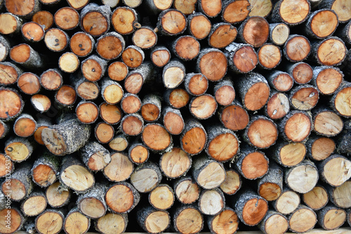 Background with cut pine logs