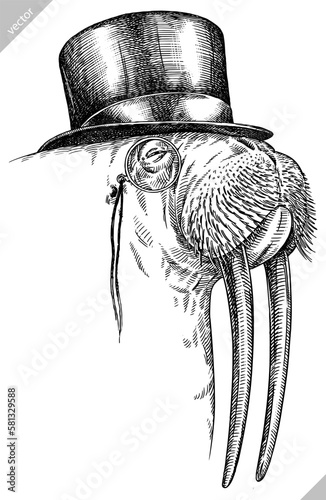 Vintage engrave isolated walrus set dressed fashion  illustration ink costume sunglasses sketch. Sea seal background arctic glasses hipster hat vector art