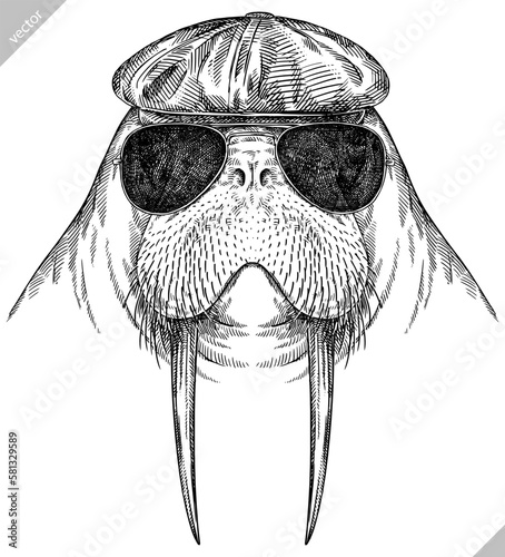Vintage engrave isolated walrus set dressed fashion  illustration ink costume sunglasses sketch. Sea seal background arctic glasses hipster hat vector art