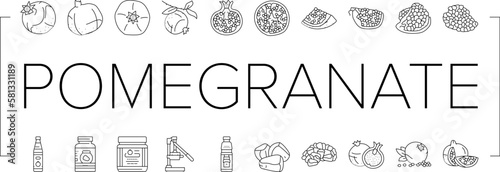 pomegranate fruit red food icons set vector