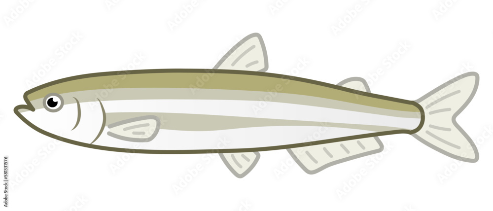 Fototapeta premium ワカサギ