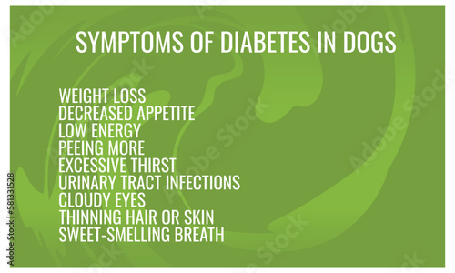 Symptoms of diabetes in Dogs.  Vector illustration for medical journal or brochure. 