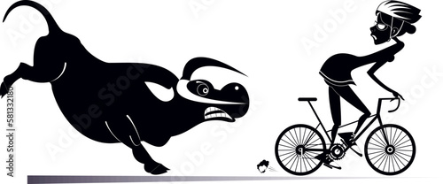 Angry bull and cyclist woman. Frightened cyclist woman escapes from the angry bull. Black and white illustration 