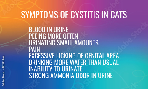 Symptoms of cystitis in cats . Vector illustration for medical journal or brochure.