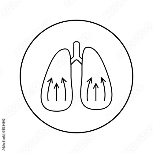Lungs linear icon. Medicine, pulmonology
