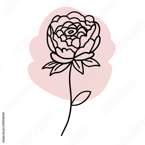 Flower in outline doodle flat style with pastel pink brush. Simple floral element plant decorative design. Hand drawn line art. Creative sketch. Vector illustration isolated on white background.