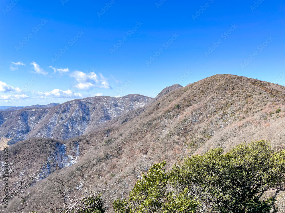 天城山　登山道