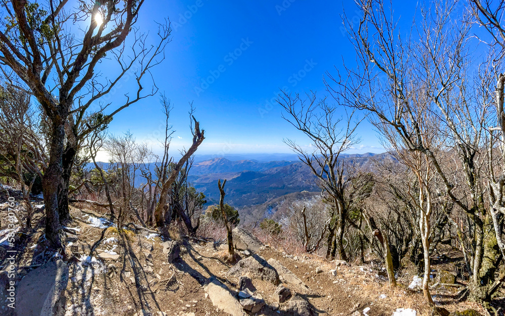 天城山 登山道 天城山 登山道