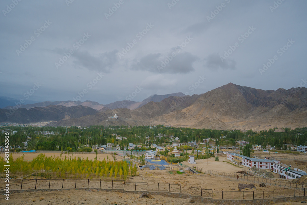 Beautiful landscape with greenery in a village, the background is surrounded by mountains at Leh town, Ladakh, in the Indian Himalayas.