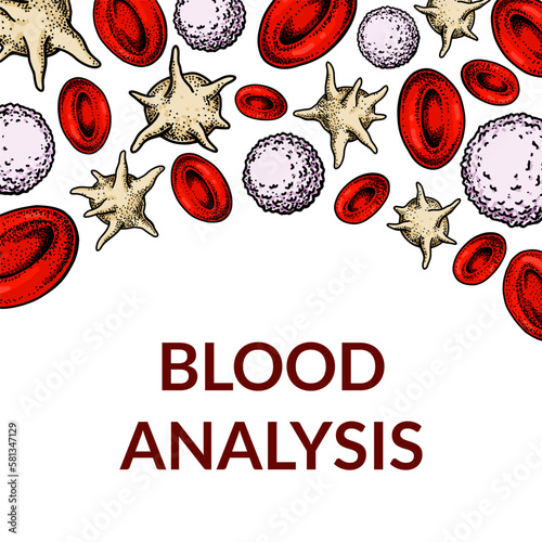 Blood cells background. Design for blood test, anemia, donation, hemophilia, laboratory scientific research concepts. Vector illustration in sketch style