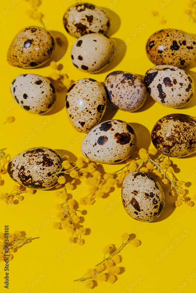 Quail eggs and memosa flowers. Yellow background. Top view. Easter concept.