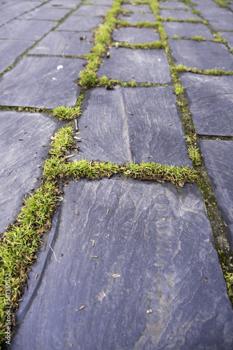 Slate floor with moss