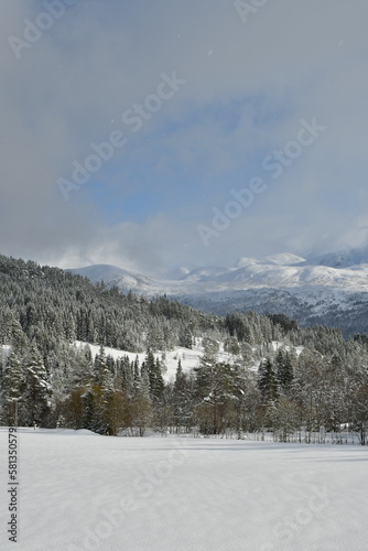Winter mountain landscape trees snow norway scandinavia © Andreas