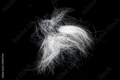 Tuft of white fur, heap gray-haired animal hair isolated on black, top view photo