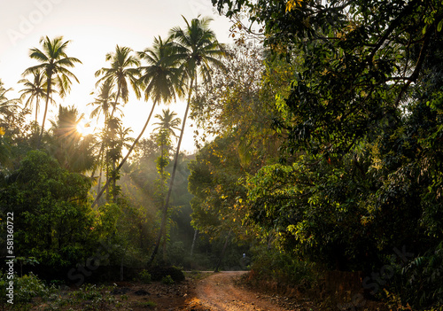 Beautiful sunrise in the tropics of India. Morning light shining through palm trees