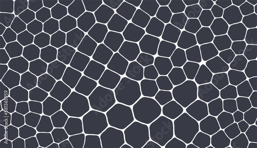 Abstract scientific background with cells or cell membranes. Black and white design. Vector illustration for print, textile, fabric, package, wrapping or cover.