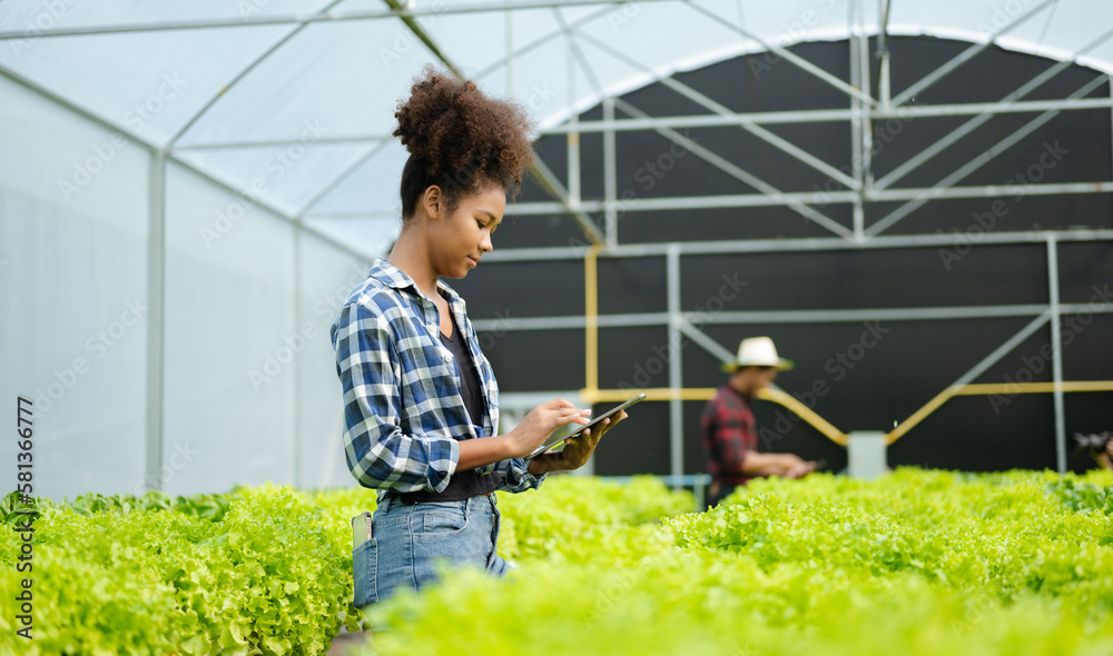 Asian woman farmer looking organic vegetables and holding tablet for checking orders or quality farm Asian woman farmer looking organic vegetables and holding tablet for checking orders or quality farm