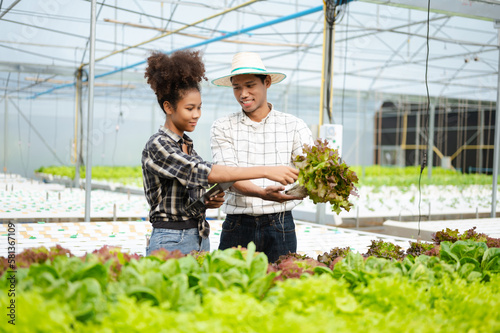 Asian farmer using hand holding tablet and organic vegetables hydroponic in greenhouse plantation. Female hydroponic salad vegetable garden owner working. .