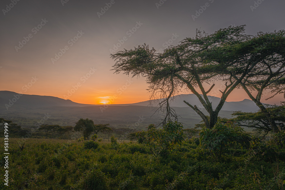 Sunrise over the Ngorongoro Conservation Area in Tanzania