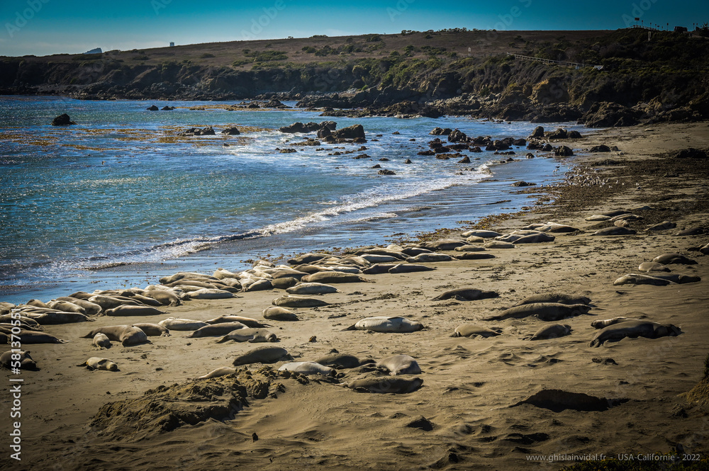 Californie. Océan Pacifique Californie. Océan Pacifique