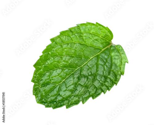 Fresh peppermint isolated on transparent background, PNG image
