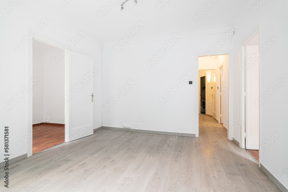 Empty bright spacious walk-through room with open doors and a view of other rooms and a corridor. Housewarming or home buying concept. Copyspace