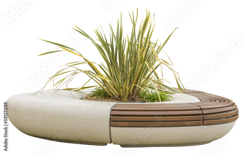 Isolated PNG cutout of a New Zealand flax plant on a triangular street bench on a transparent background, ideal for photobashing, matte-painting, concept art photo