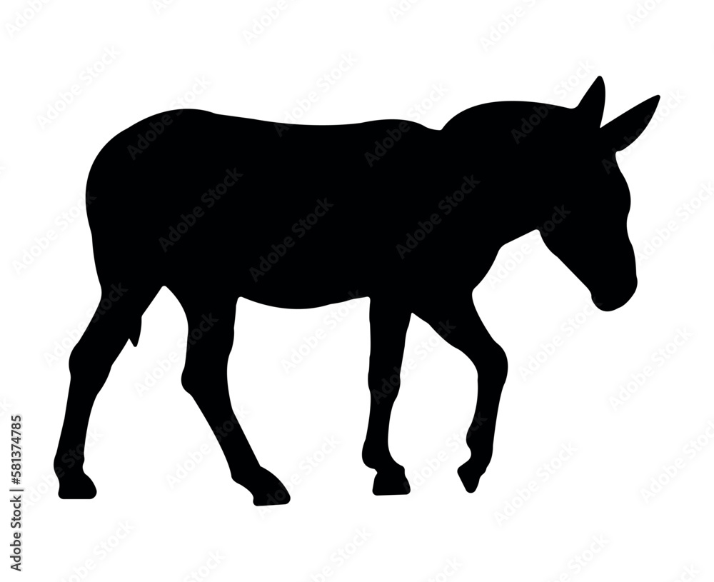 Vector flat donkey silhouette isolated on white background