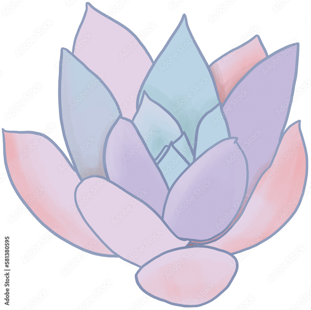 Succulent Flower Isolated On White Background Succulent Flower Isolated On White Background