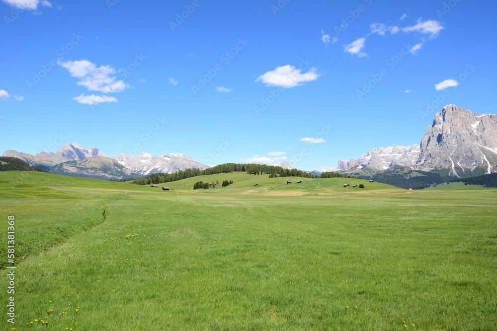 Alpe di Siusi in South Tyrol, holiday destination in South Tyrol, famous hiking paradise, Italy, Europe in summer, beautiful landscape for hiking and relaxing Alpe di Siusi in South Tyrol, holiday destination in South Tyrol, famous hiking paradise, Italy, Europe in summer, beautiful landscape for hiking and relaxing