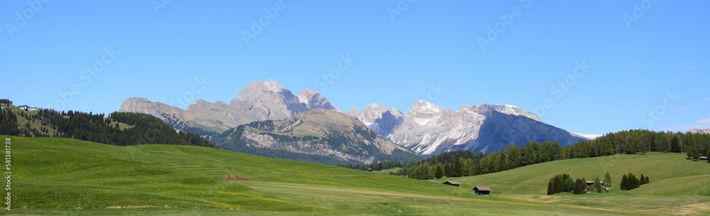 Alpe di Siusi in South Tyrol, holiday destination in South Tyrol, famous hiking paradise, Italy, Europe in summer, beautiful landscape for hiking and relaxing