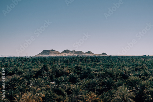 View over Siwa Oasis from mountain of dead
