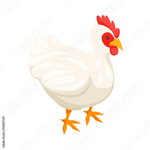 Isometric Hen Poultry Composition