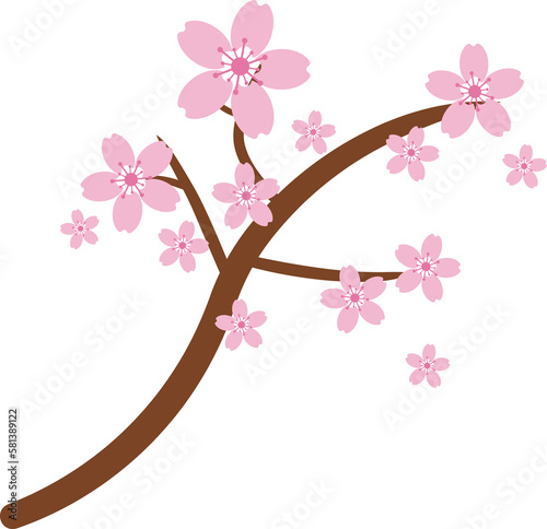 Beautiful pink Sakura Cherry Blossom illustration.