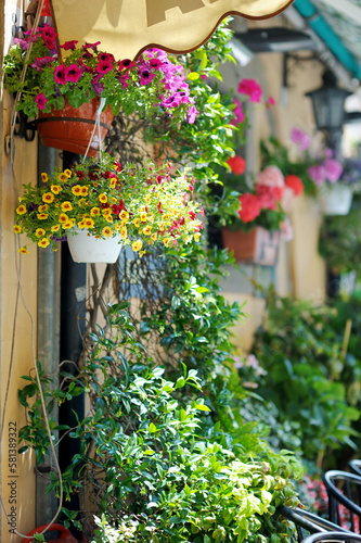 Fototapeta Naklejka Na Ścianę i Meble -  Beautiful flowers pots with blossoming flowers in town of Nemi, Italy