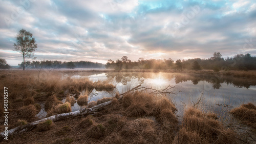 Fototapeta Naklejka Na Ścianę i Meble -  morning sunlight with fog in a german swamp
