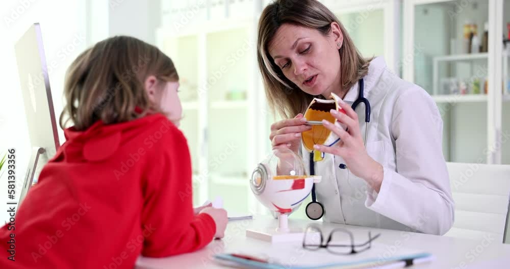 Ophthalmologist teaches the anatomy of eye in clinic to girl Ophthalmologist teaches the anatomy of eye in clinic to girl