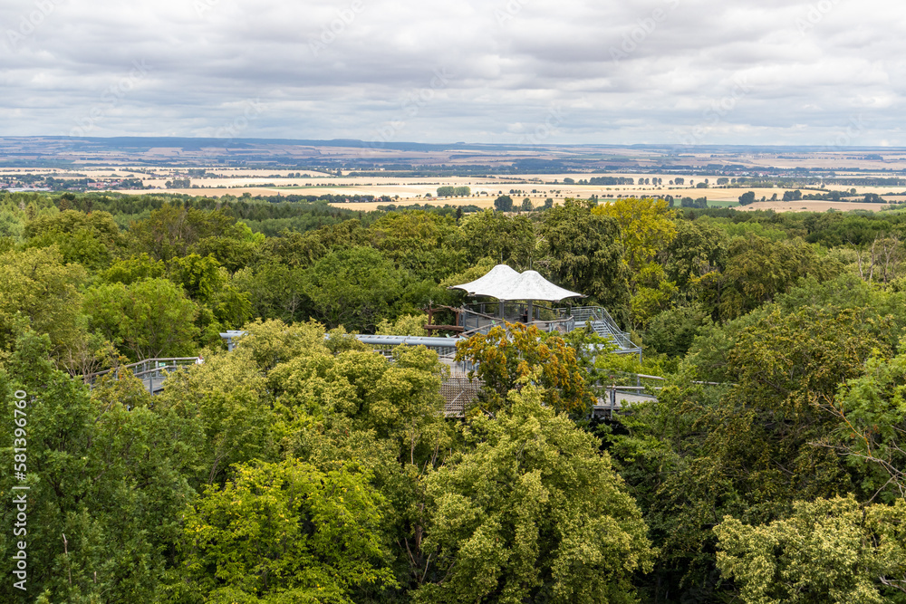 Thüringen Nationalpark Hainich Baumkronenpfad