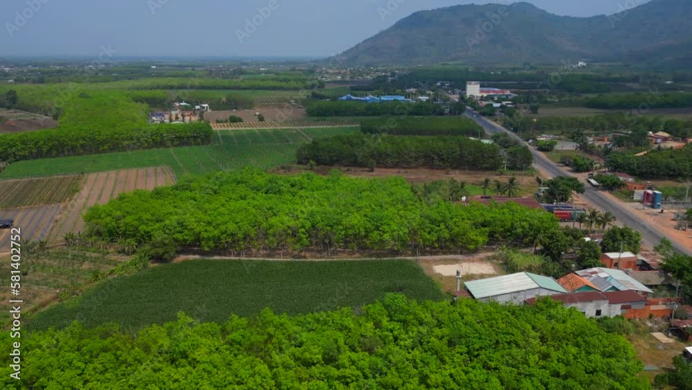 Flying above landscape and trees in a nice shape in Vietnam 4K video