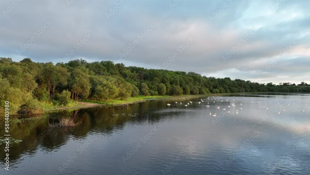 drone shot of lough oughter lake at sunrise, cavan, ireland drone shot of lough oughter lake at sunrise, cavan, ireland