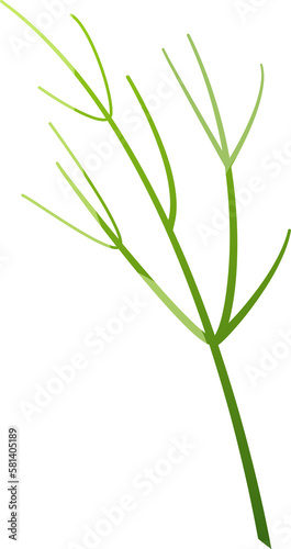 Dill leaf isolated. Fennel leaf for Salad. Natural ingredient. Culinary herb. Flat style. Object for design for banner  print  template. Cartoon PNG illustration