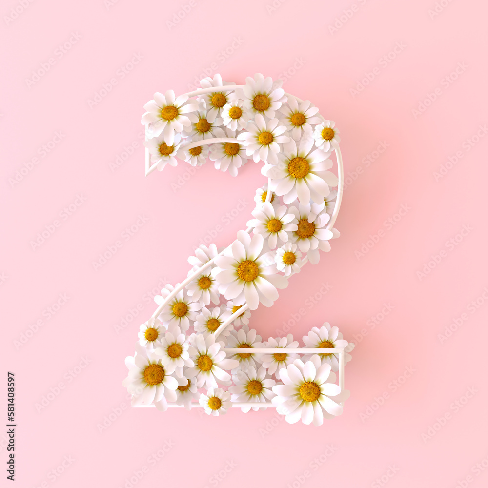 Number 2 made of natural chamomile flowers. Cute camomiles number two ...