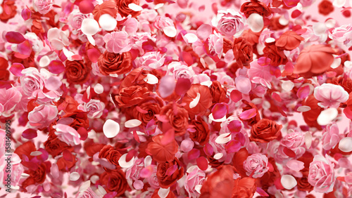 rose background