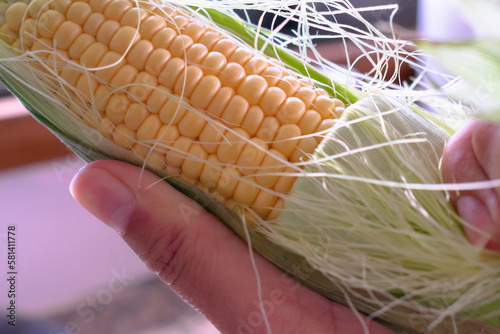 Obraz na plátně Homestyle Cooking: Mature Woman Hand-Peeling Corn in Her Kitchen