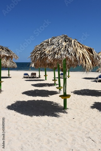A Group of Palapa Umbrellas on a Tropical Beach © Lisa