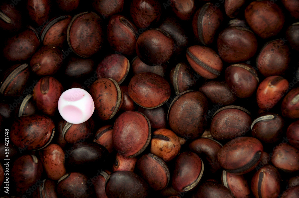 Background full of canavalia bonariensis seeds and a pink colored marble on them Background full of canavalia bonariensis seeds and a pink colored marble on them