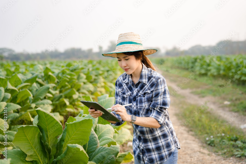 Agriculturist asian utilize the core data network in the Internet from the mobile to validate, test, and select the new crop method.