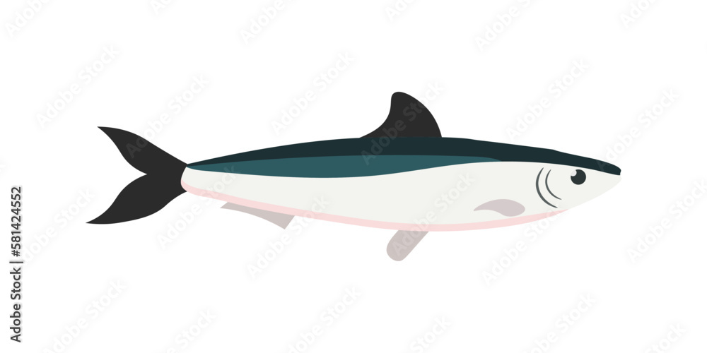 Anchovy, small one fish with head and tail, food ingredient in Mediterranean cuisine Anchovy, small one fish with head and tail, food ingredient in Mediterranean cuisine
